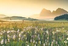 迷你世界九游版本下载-下载迷你世界九游版本，探索无尽创造的乐趣