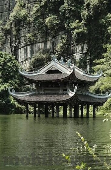 世界杯跟马克思关系-世界杯与马克思，一场跨越时空的共鸣