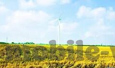 足球比分直播今日-足球比分直播今日，绿茵场上的实时心跳