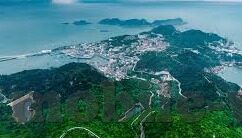 足球即时比分zquu-足球即时比分zquu，绿茵场上的数字心跳